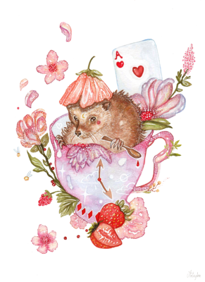 image de Hérisson d’Alice